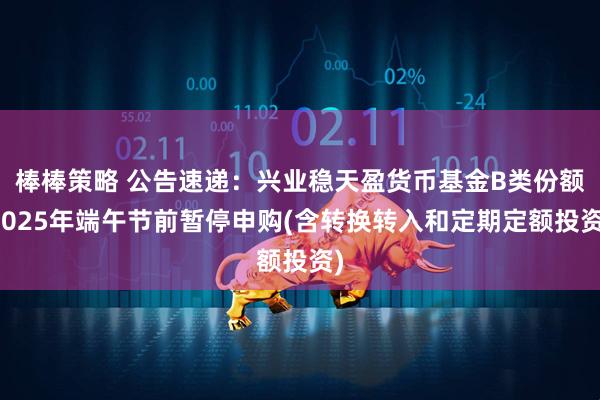 棒棒策略 公告速递：兴业稳天盈货币基金B类份额2025年端午节前暂停申购(含转换转入和定期定额投资)