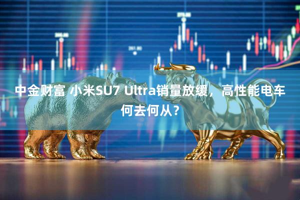 中金财富 小米SU7 Ultra销量放缓，高性能电车何去何从？