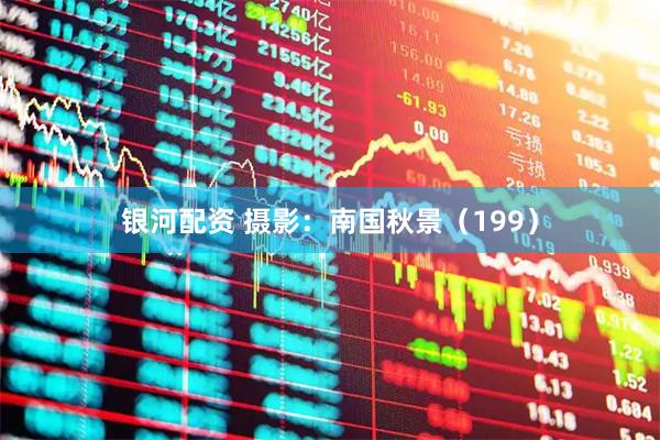 银河配资 摄影：南国秋景（199）